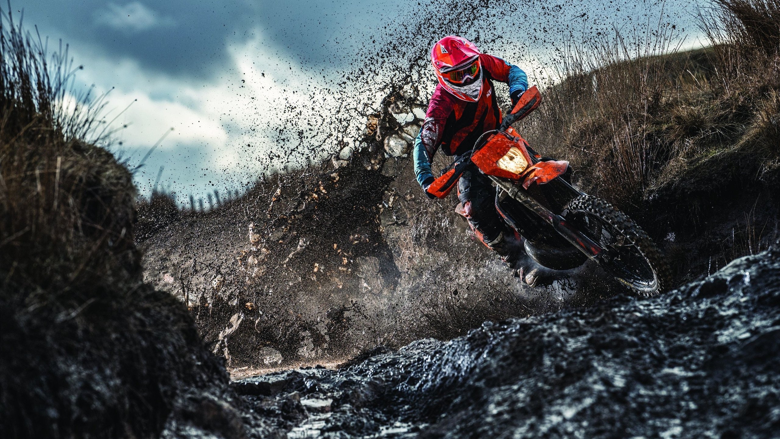 传统火把晚会舞龙舞狮,文化与运动盛大庆典